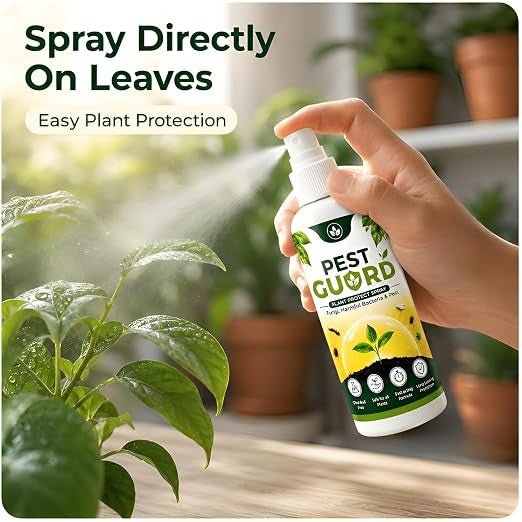 PestGuard Plant Protect Spray | Buy 1 Get 2 Free