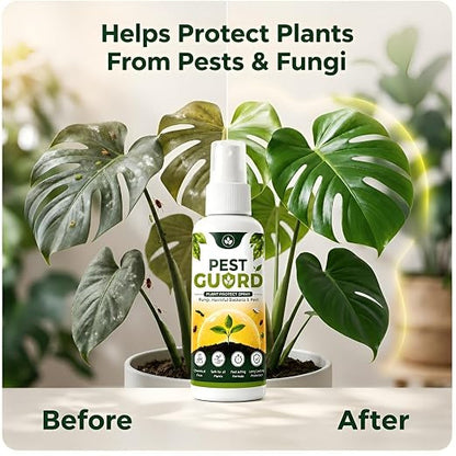 PestGuard Plant Protect Spray | Buy 1 Get 2 Free